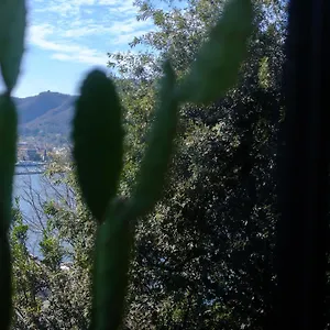  Apartment Veranda View